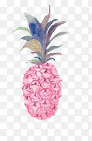 彩绘菠萝