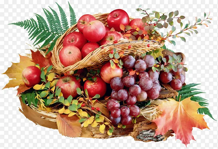 食物素描手绘水果组合