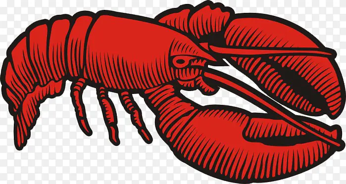 红黑色的卡通海鲜龙虾