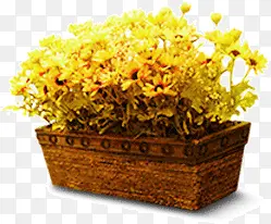 黄色花朵浪漫花盆盆景