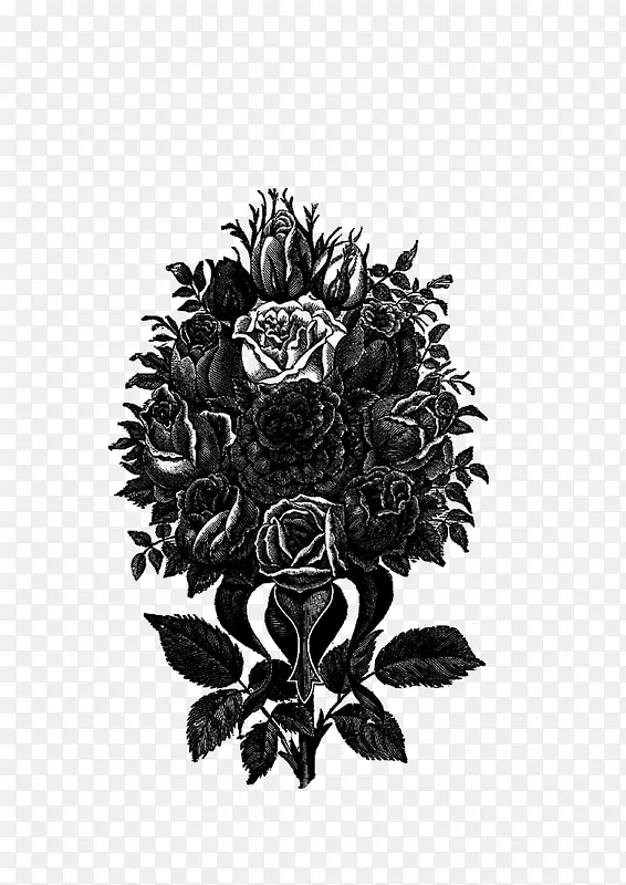 绘画植物 玫瑰花 黑白