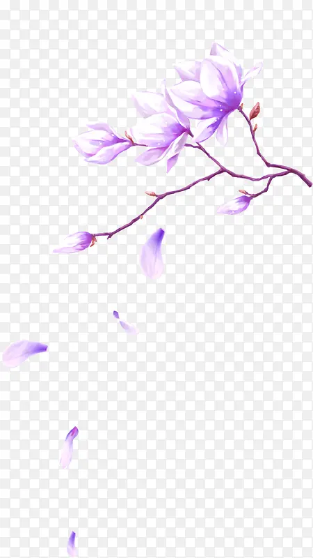 紫色唯美花朵装饰图案