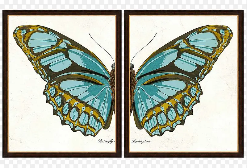 卡通中堂画素材挂画素描 蝴蝶装