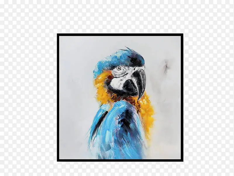 鹦鹉油画