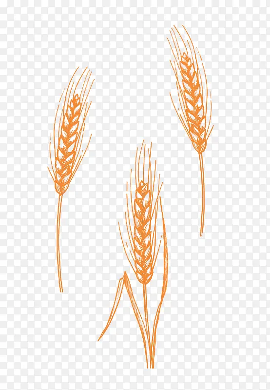 创意扁平卡通形状小麦