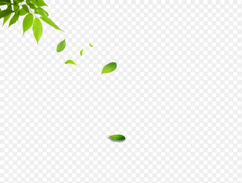 树叶PNG图片素材下载_图片编号8170473-PNG素材网