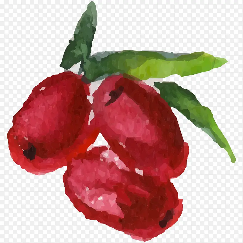 手绘水彩红色枣子