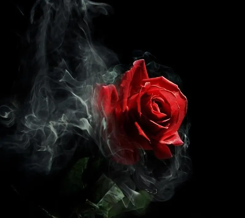 烟雾红色玫瑰海报背景