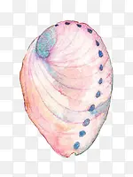 手绘水彩粉色贝壳