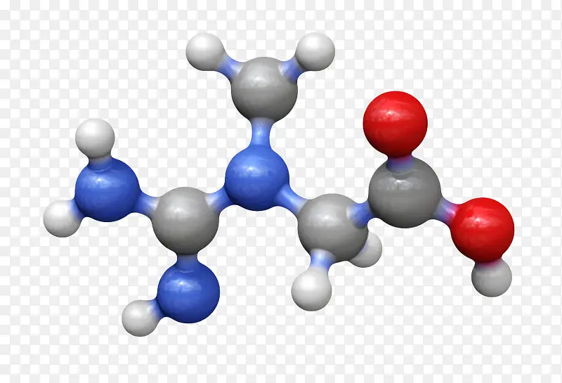 蓝红色营养补充分子模型肌酸分子