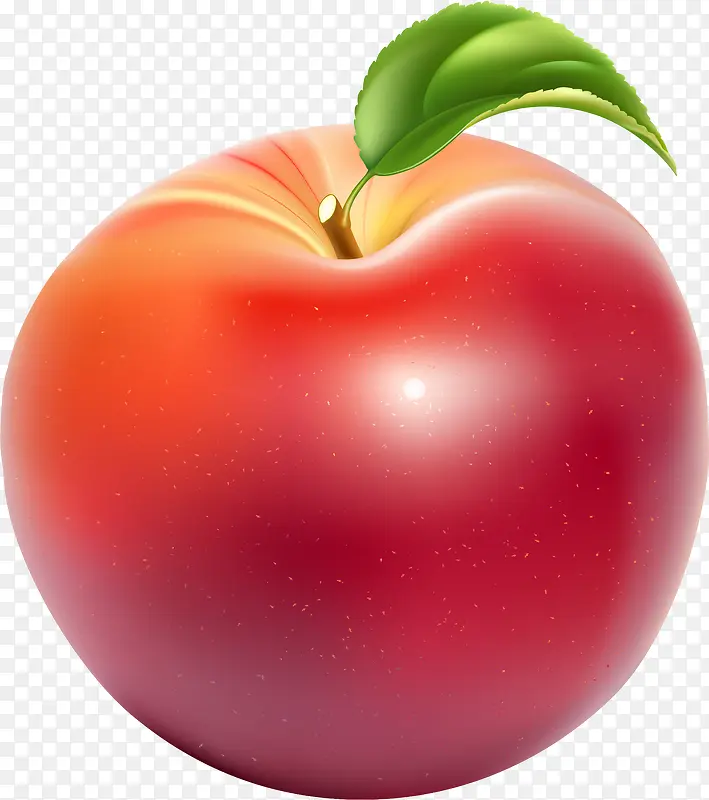 手绘红色苹果叶子