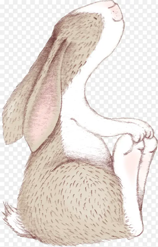 卡通手绘可爱的小兔子