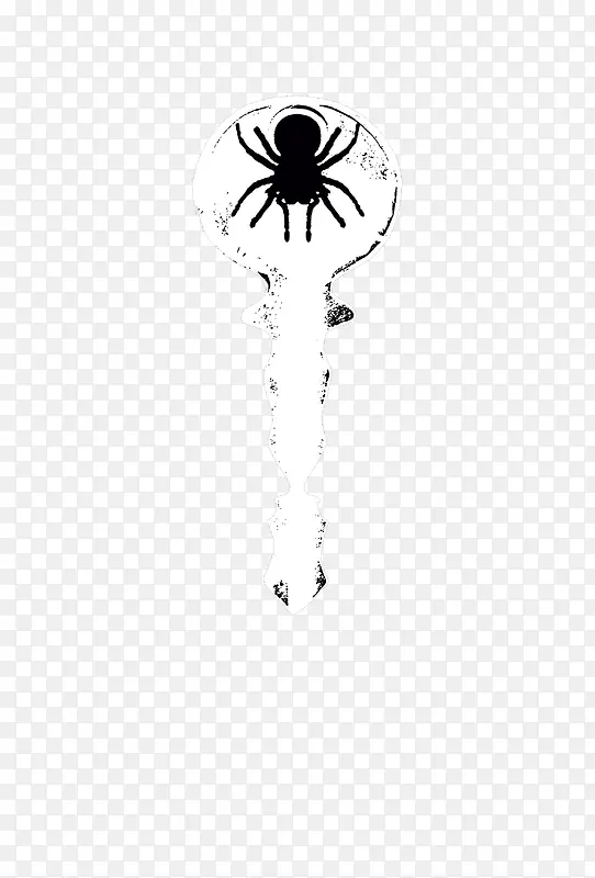 权杖蜘蛛