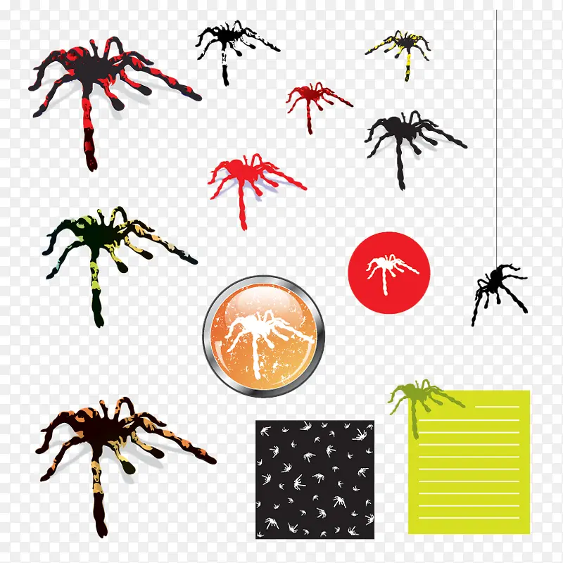 蜘蛛图标元素