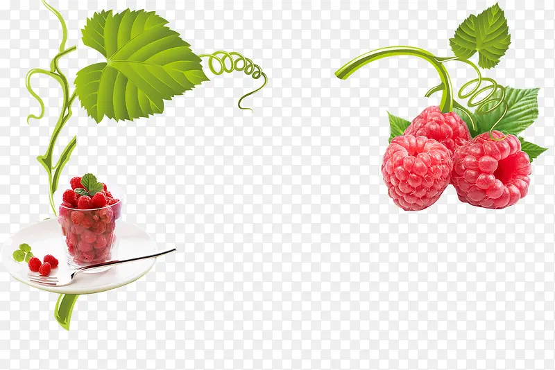 实物树莓产品鲜果果蔬