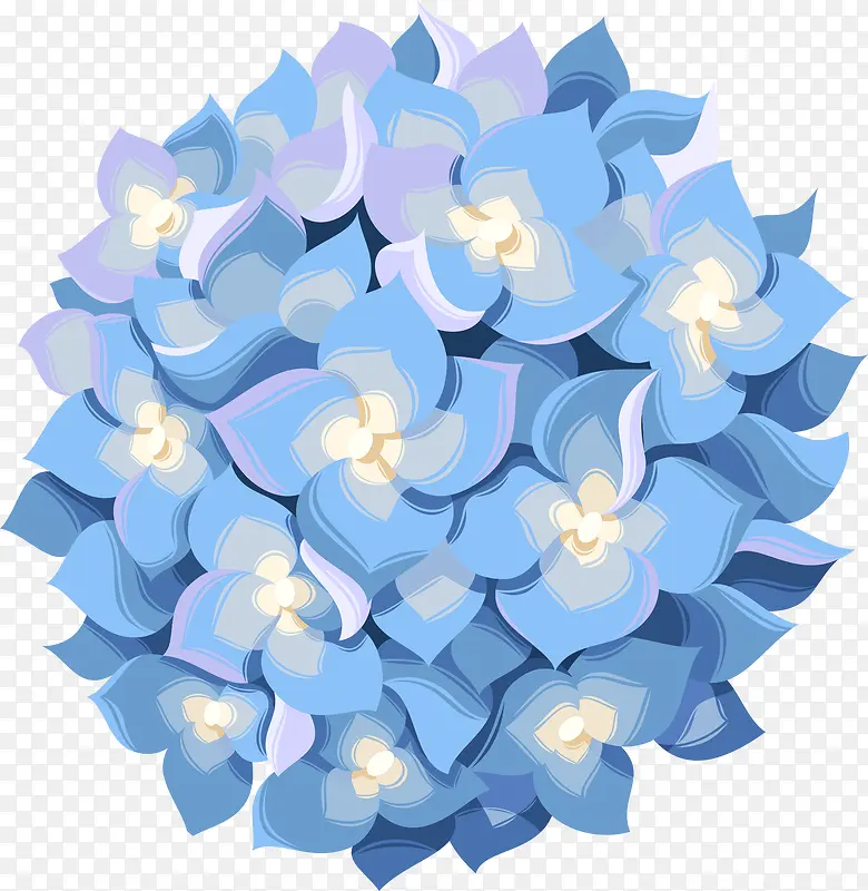 蓝色的小花