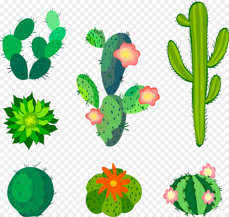 绿色植物