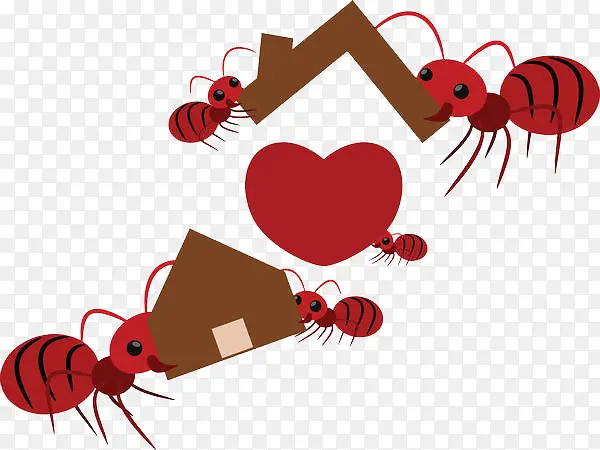 蚂蚁搬房子