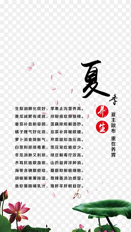 夏季养生文案排版PNG图片素材下载_图片编号8191335-PNG素材网