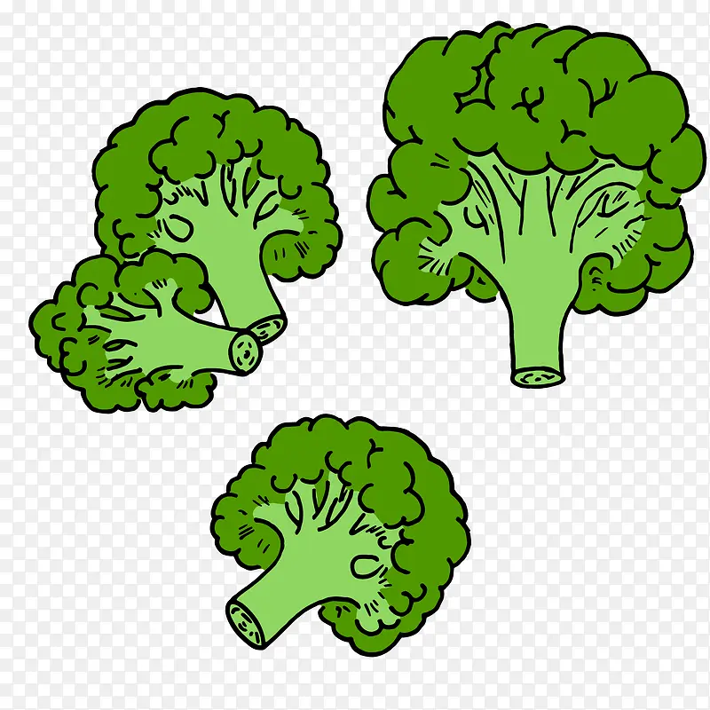 绿色手绘圆弧西蓝花蔬菜插画