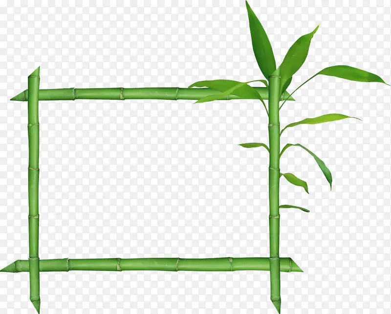竹子多边形
