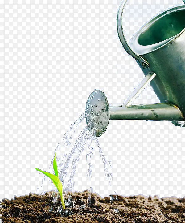 水壶浇灌植物