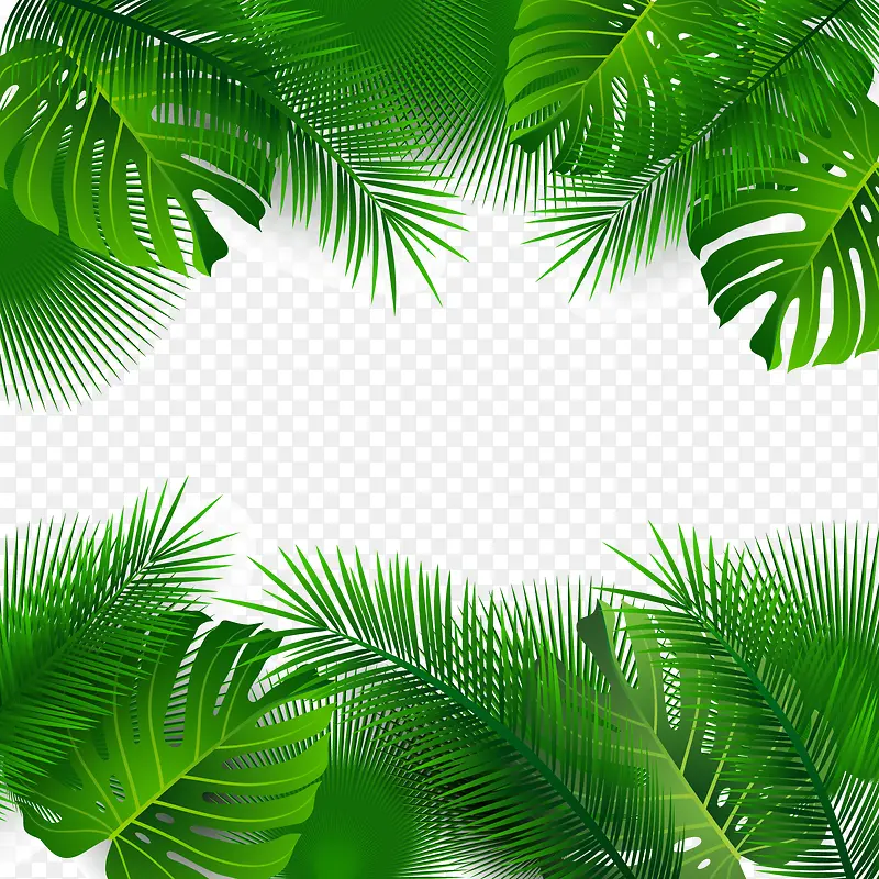 创意棕榈树叶框架设计