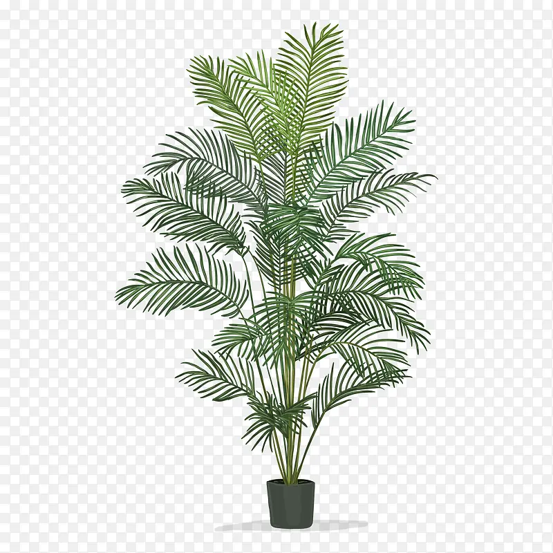 植物插画PNG图片素材下载_图片编号8203406-PNG素材网