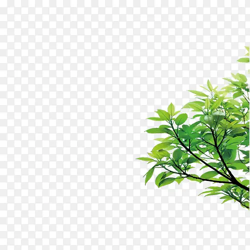 树枝PNG图片素材下载_图片编号8204673-PNG素材网