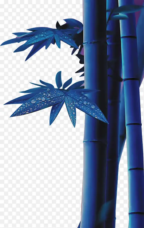 蓝色高清竹子水珠