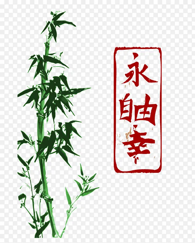 水彩竹子