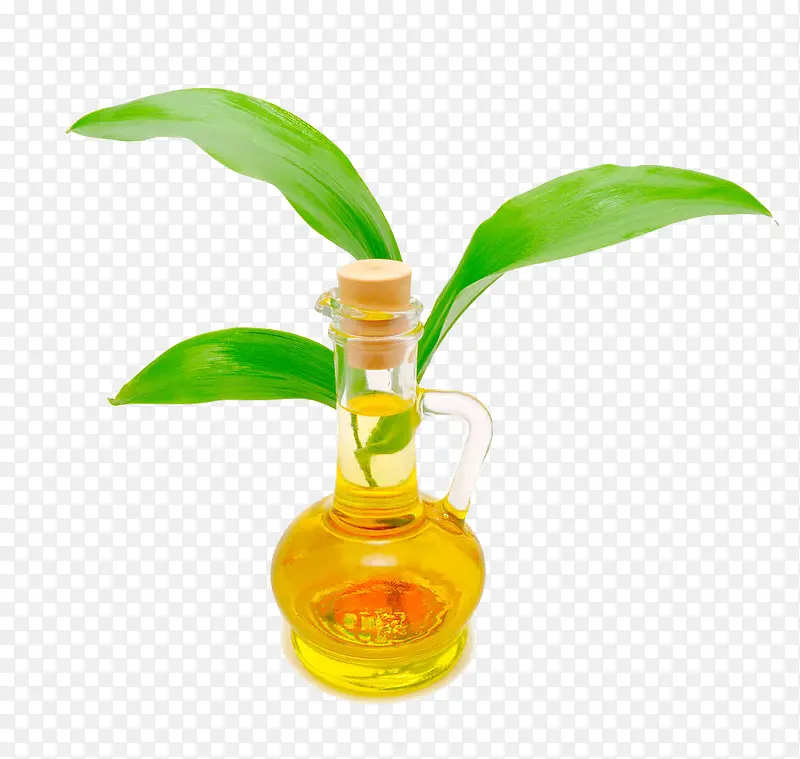 油瓶旁的植物