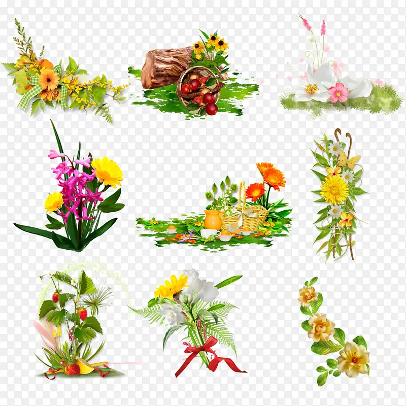 各种鲜花植物集合
