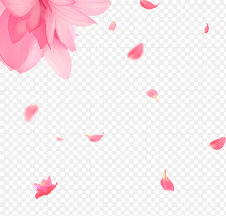 精美粉红色花朵与花瓣免抠素材