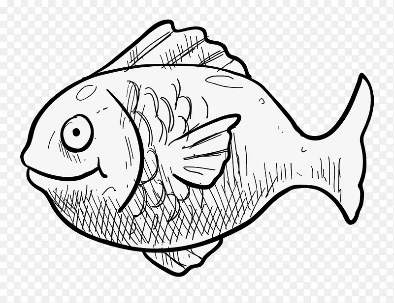 手绘素描鱼
