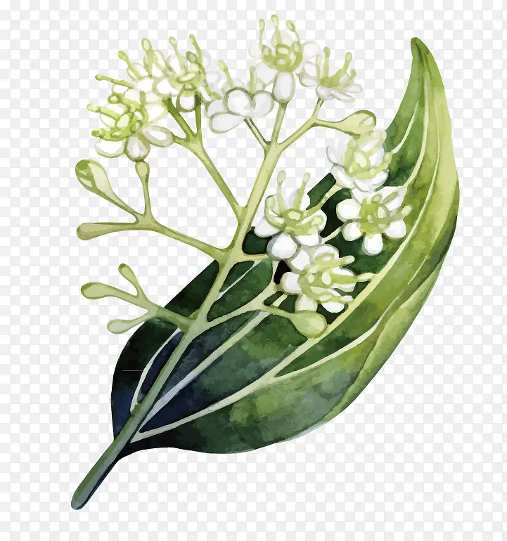 油墨手绘