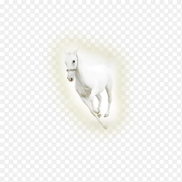 白色发光的马