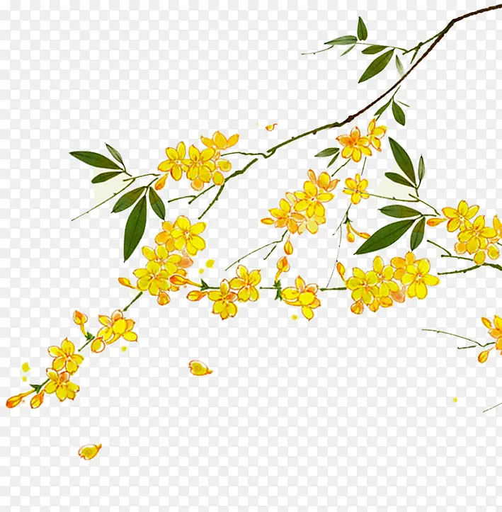中国风黄色美丽花枝