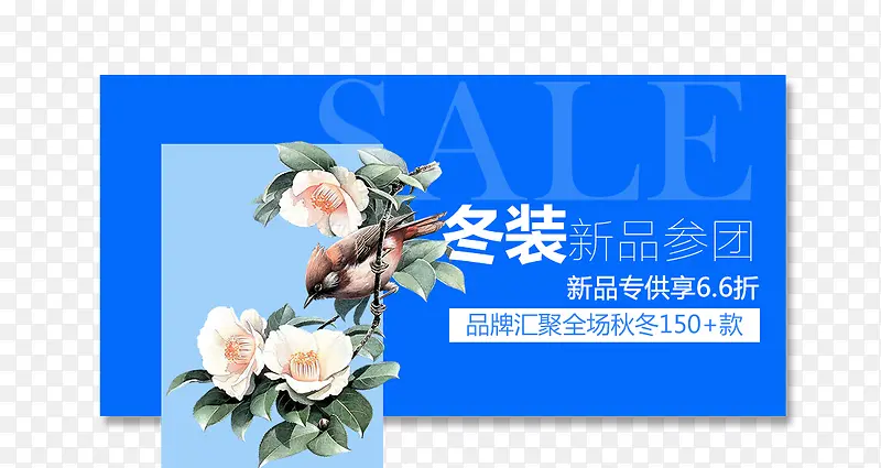 冬装新品参团