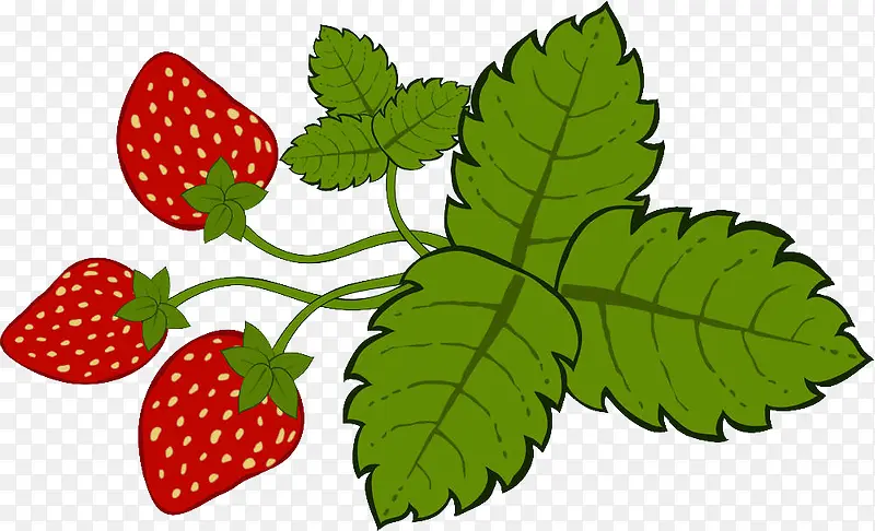 草莓果实与叶子