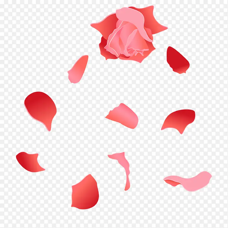 鼠绘玫瑰花花瓣矢量图