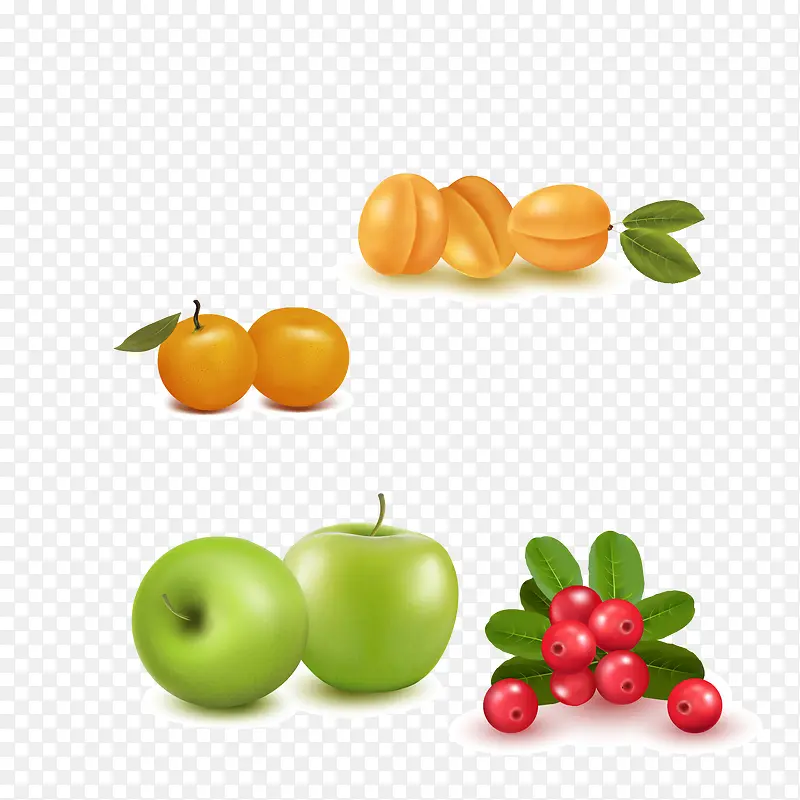 4种新鲜逼真水果矢量图