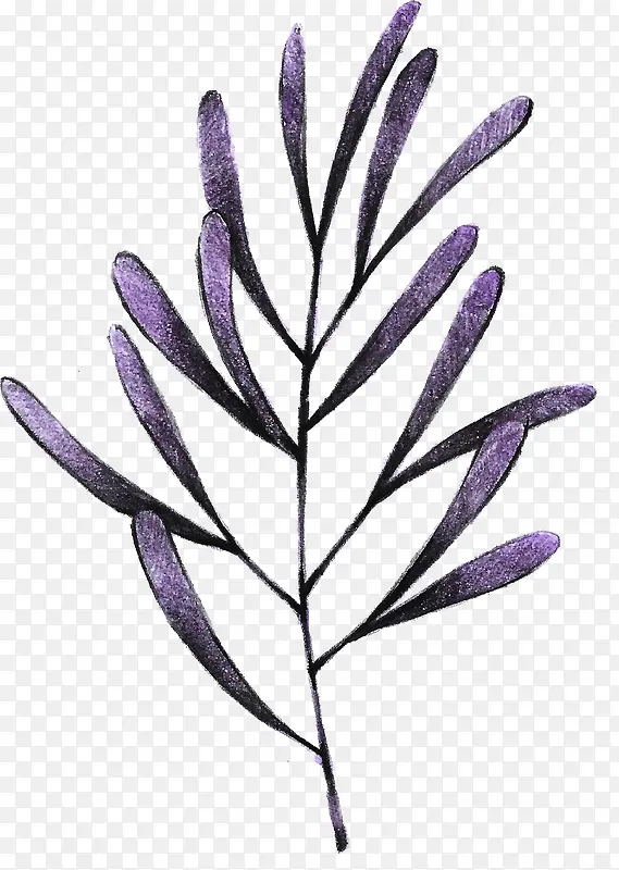 紫色手绘树叶