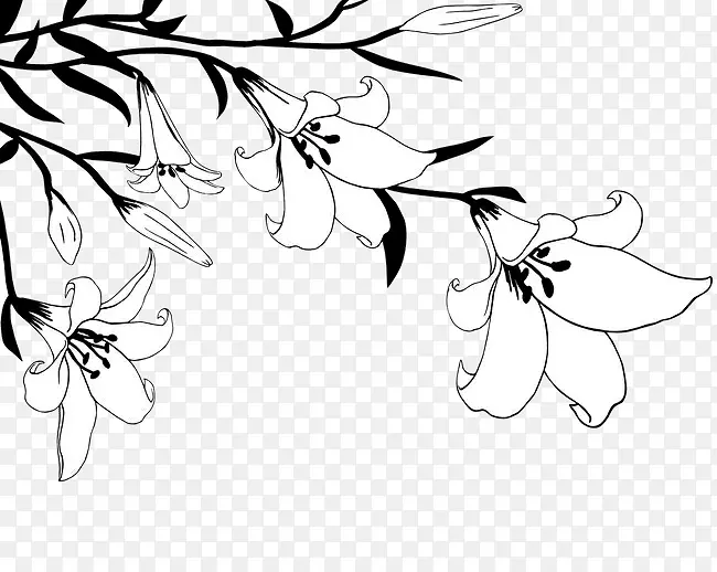 一枝儿百合花线稿