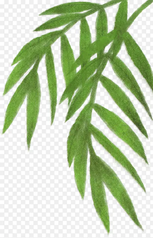 绿色清新画报装饰植物