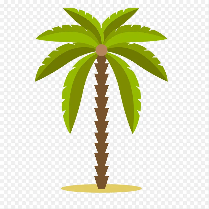 绿色棕榈树设计矢量