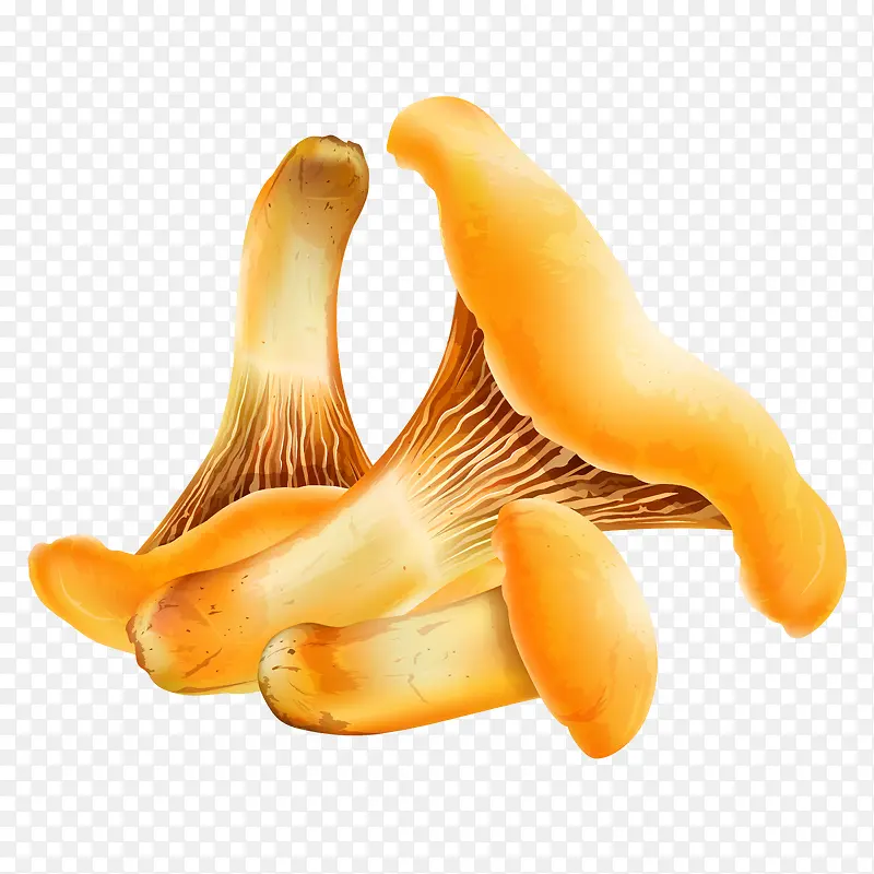 卡通手绘蔬菜装饰海报设计蘑菇