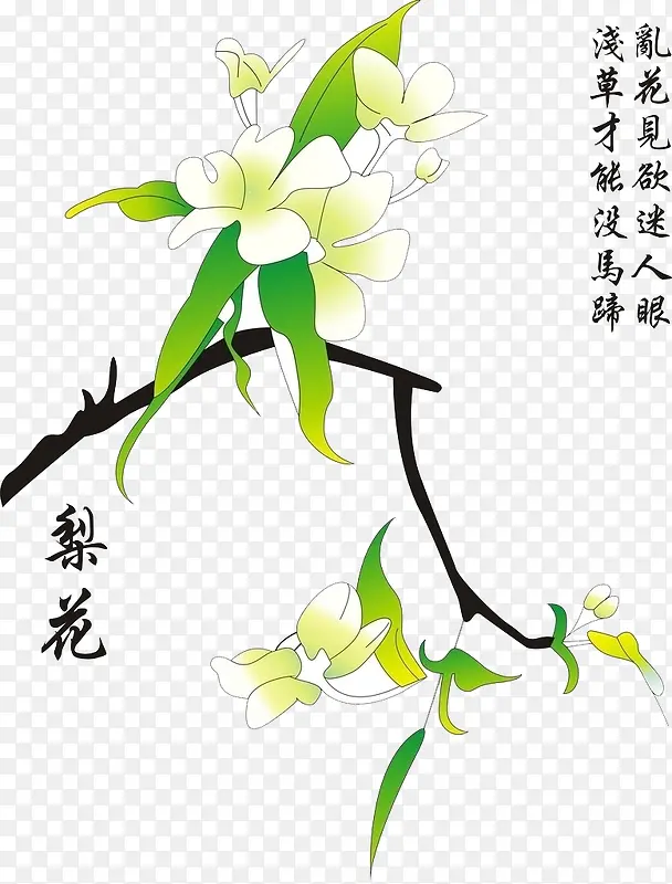 梨花与诗PNG图片素材下载_图片编号8226185-PNG素材网