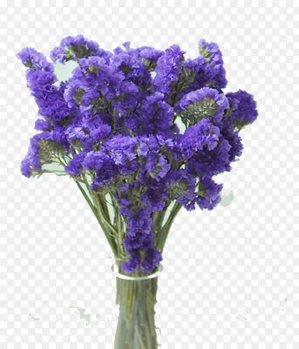 浪漫紫花