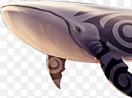 海底动物卡通鲨鱼形状
